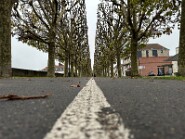 IMG_8231-6