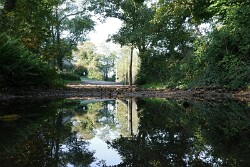 2024-10-11