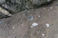 Tintagel-1053