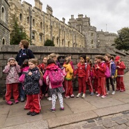 Windsor-254