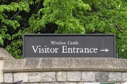 Windsor-255