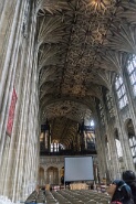 Windsor-280