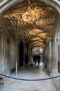 Windsor-284