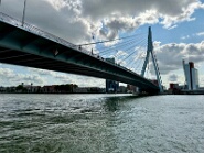 IMG_2393-16