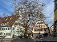 IMG_0544-53