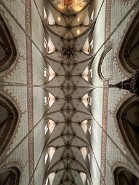 IMG_0617