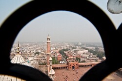 Dehli