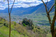 Meran-97-17