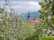 IMG_0038-6
