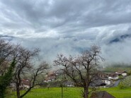 IMG_0061-1