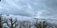 IMG_0063-3